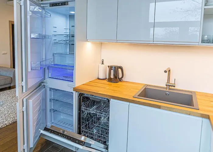 Lejlighed Zalgiris Arena With Ac *